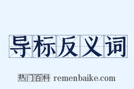 导标反义词是什么意思的图片